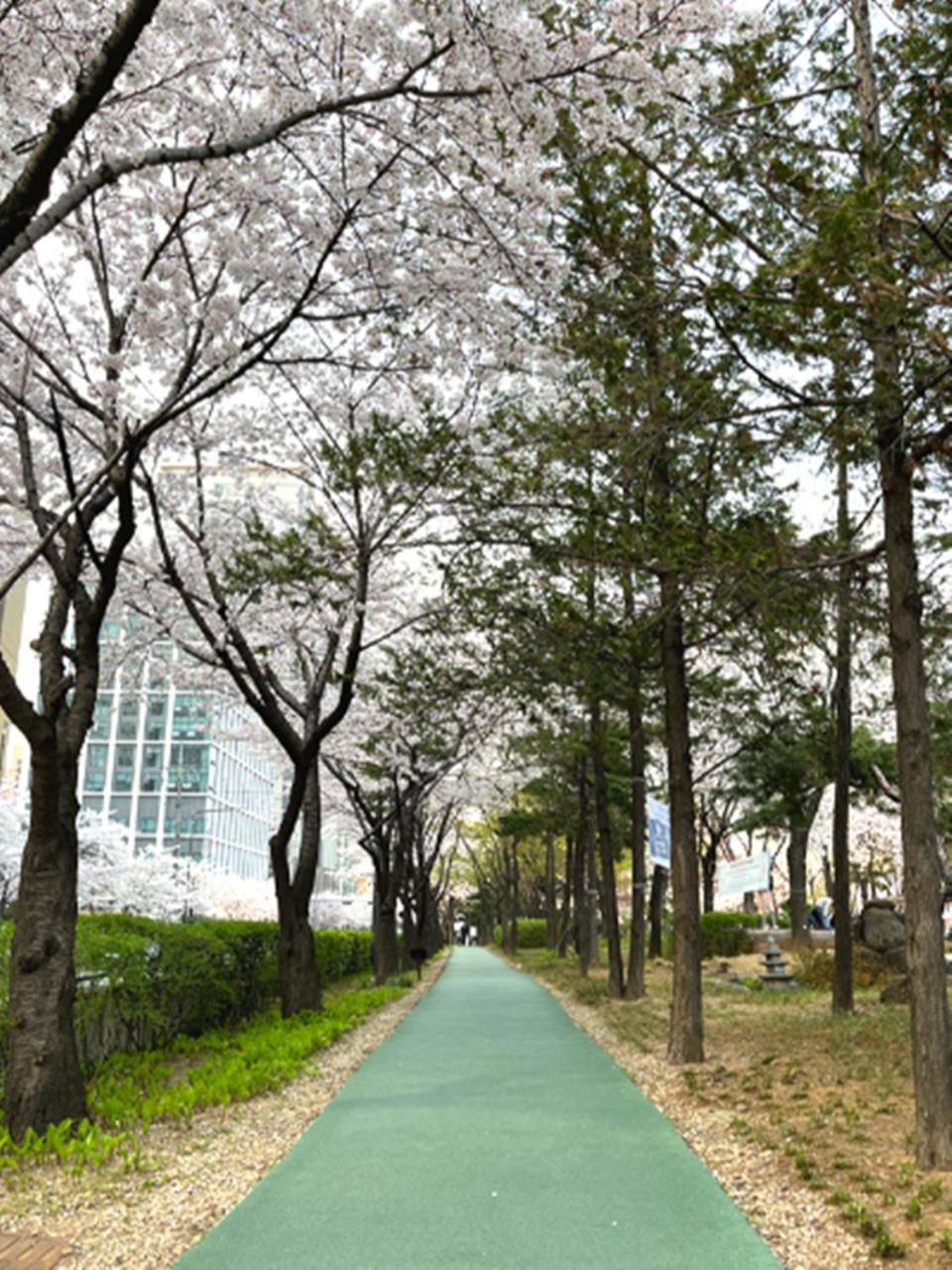 Jeongdam Hotel โซล ภายนอก รูปภาพ